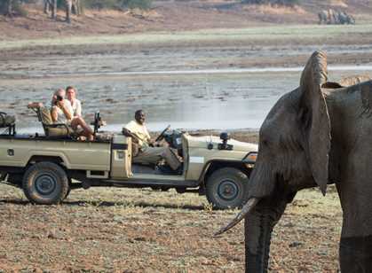 South Luangwa National Park